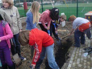 2012_0123schoolsgreen0019-800x600