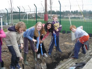 2012_0123schoolsgreen0021
